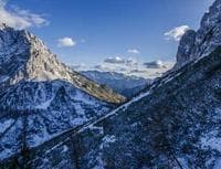 Strategic Marketing Services